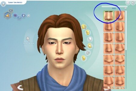 Brand New Nose slider by porkypine at Mod The Sims