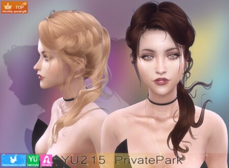 YU215 PrivatePark hair (P) at Newsea Sims 4