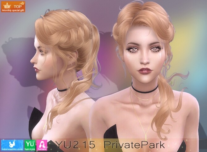 Sims 4 YU215 PrivatePark hair (P) at Newsea Sims 4