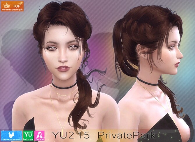 Sims 4 YU215 PrivatePark hair (P) at Newsea Sims 4