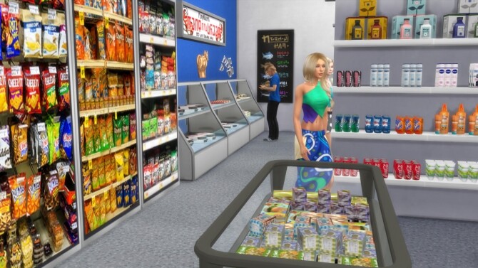 Sims 4 Rema 1000 Grocery Store at Alial Sim