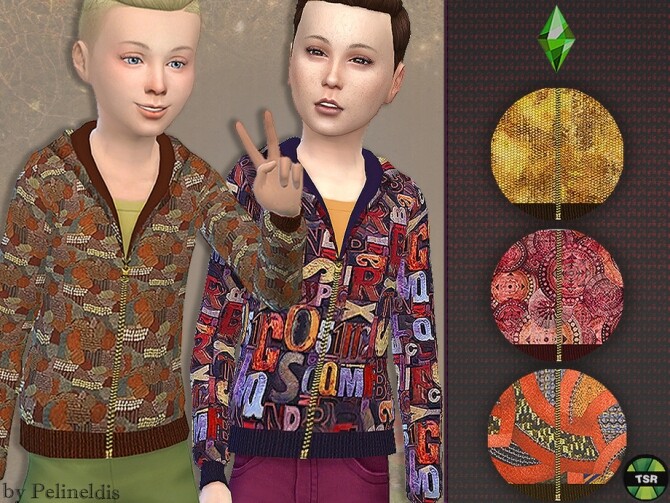 Sims 4 Autumn Zipper Hoodie by Pelineldis at TSR