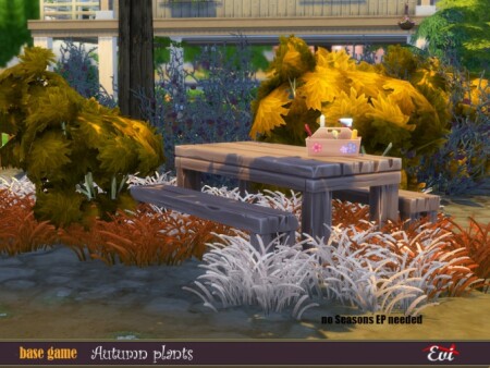 Autumn plants by evi at TSR