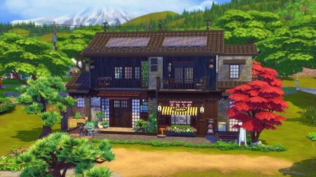 Kokedama Asian home by Angerouge at Studio Sims Creation