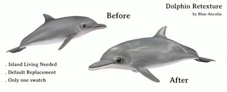 Dolphin retexture at Blue Ancolia