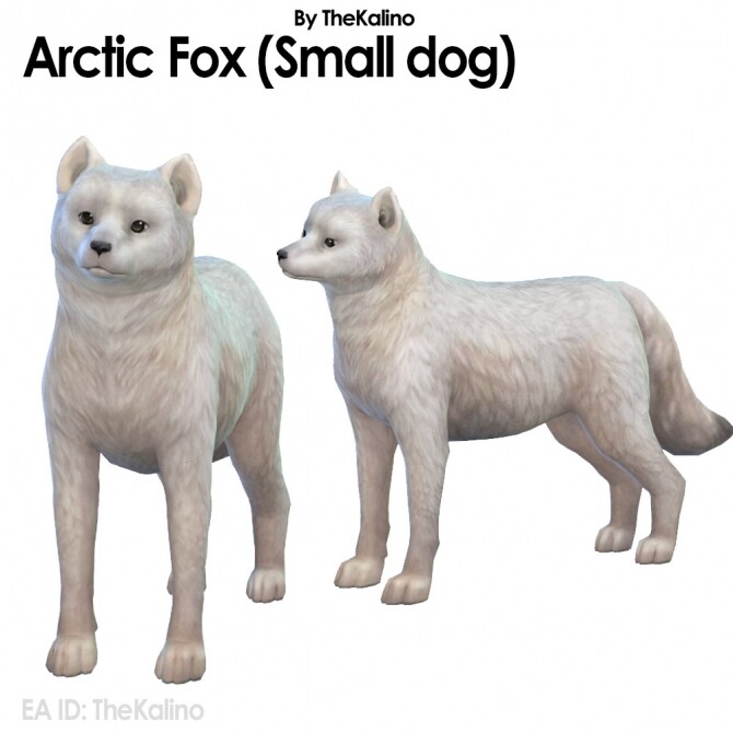 Sims 4 Polar Bear & Arctic Fox at Kalino