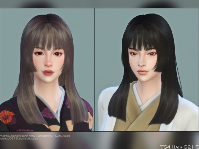Sims 4 Female Hair G21 at    select a Sites   