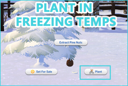 PLANT IN FREEZING TEMPS OVERRIDE at Icemunmun