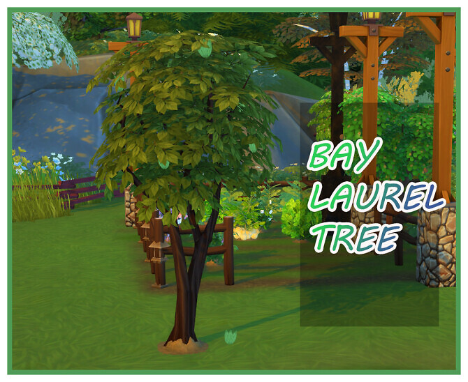 Sims 4 HARVESTABLE BAY LEAF at Icemunmun