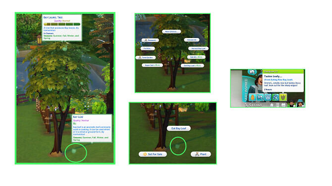 Sims 4 HARVESTABLE BAY LEAF at Icemunmun