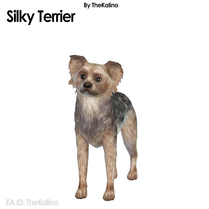 Sims 4 Silky Terrier at Kalino