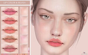 Lip Color Sims 4 Blush