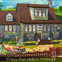 Crazy Cat Lady’s Cottage By A.lenna