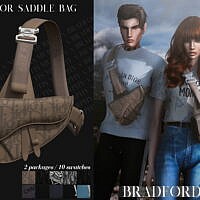 Saddle Bag