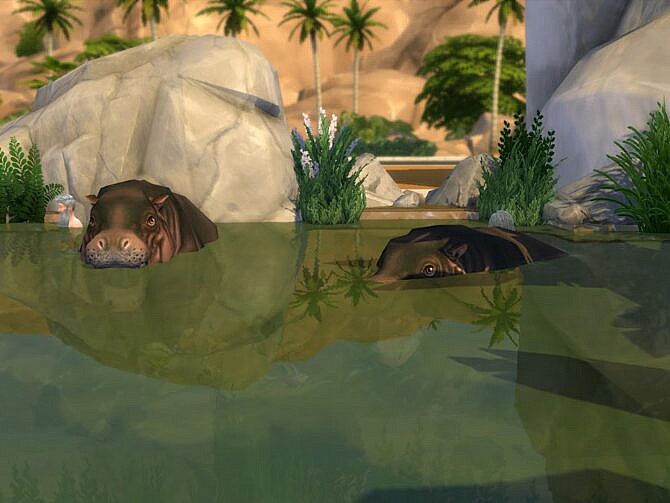 Sims 4 Hippos Heaven at KyriaT’s Sims 4 World