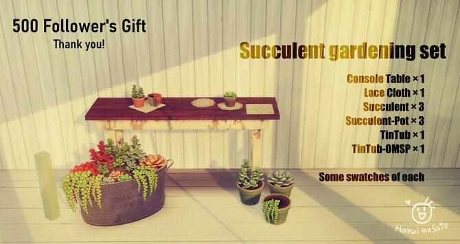 Sims 4 Succulent gardening set at Haruinosato’s CC