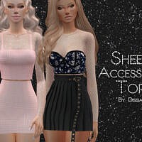 Sheer Accessory Top By Dissia