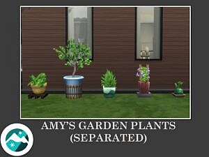 Amy Garden Sims 4 Plants Separated