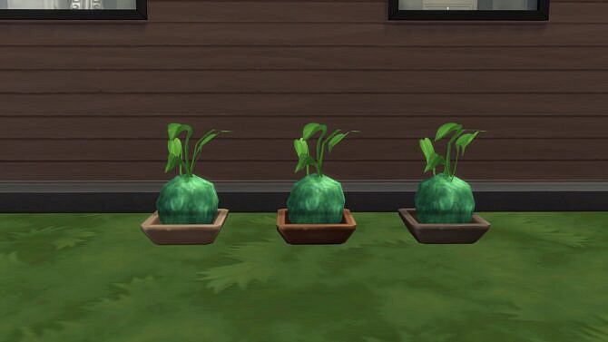 Sims 4 Amys Garden Plants Separated by Teknikah at Mod The Sims 4