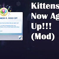 Cats Can Now Age Up Mod The Sims 4