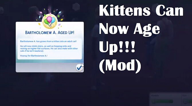 Cats Can Now Age Up Mod The Sims 4
