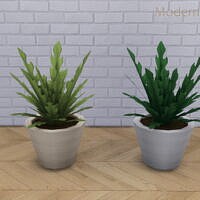 Contemporary Sims 4 Radishly Plant