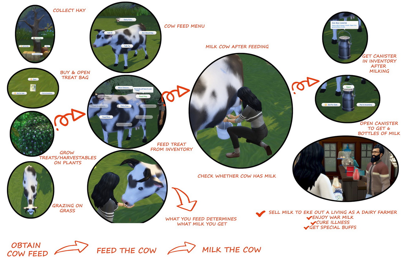 Dairy-Cow-Sims-4-Mod.jpg