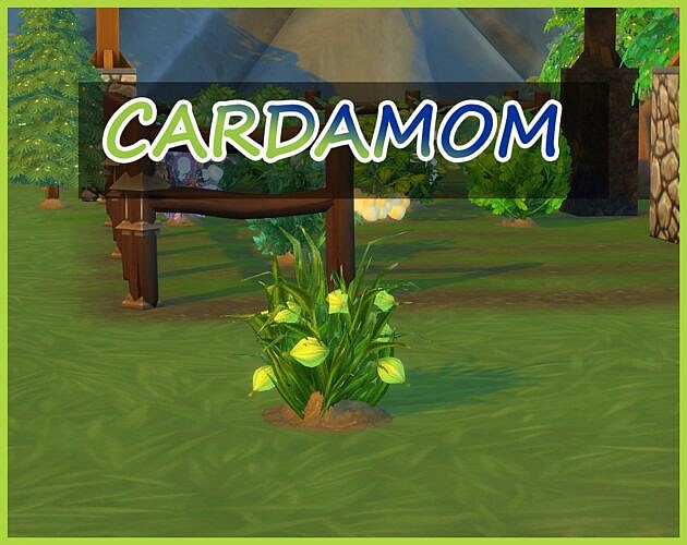 Harvestable Cardamom Sims 4