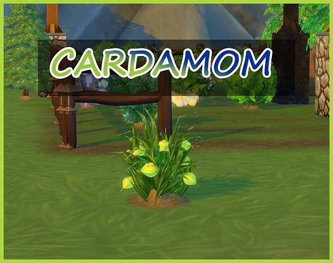 Sims 4 HARVESTABLE CARDAMOM at Icemunmun