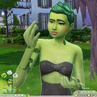 Permanent Plantsims Sims 4