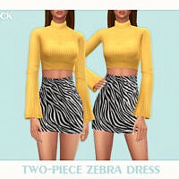 Two Piece Zebra Sims Dress