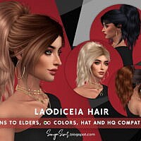 Laodiceia Hair
