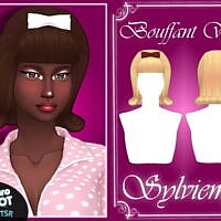 Retro Bouffant Wig Hair And Acc Set By Sylviemy