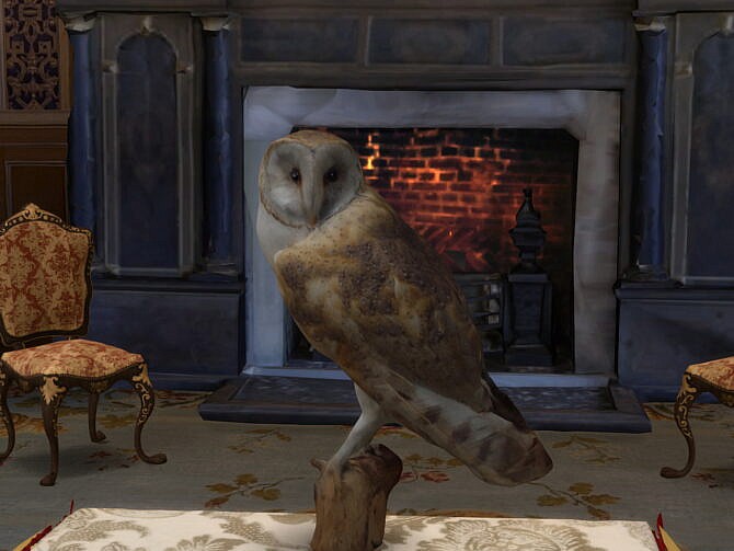Sims 4 Little Owls at Anna Quinn Stories