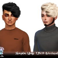 Wings To0220 Hair Retexture