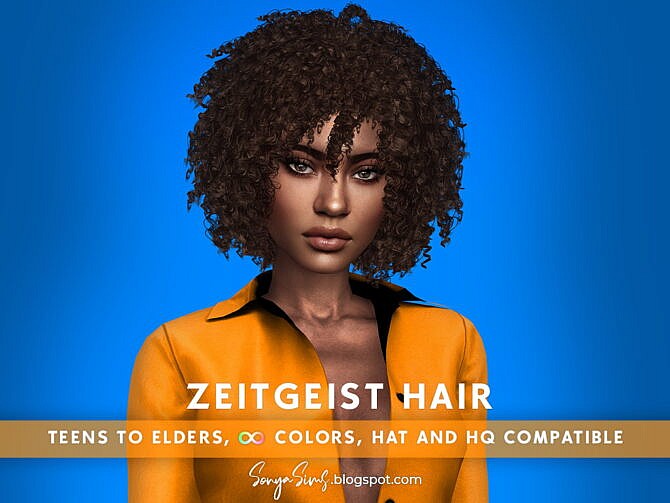 Sims 4 Zeitgeist Afro Hair at Sonya Sims