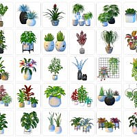 60+ Plants