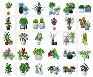 60+ Plants