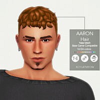 Aaron Hair For Males