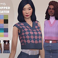 Cropped Sweater (two Versions)