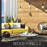 Wood Panels 3 By Rirann