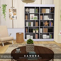Xandra Office By Melapples
