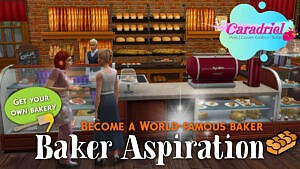 World-famous Baker Aspiration By Caradriel