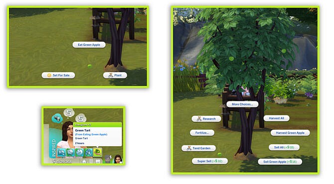 Sims 4 HARVESTABLE GREEN APPLE at Icemunmun