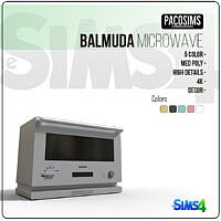 Balmuda Microwave (p)