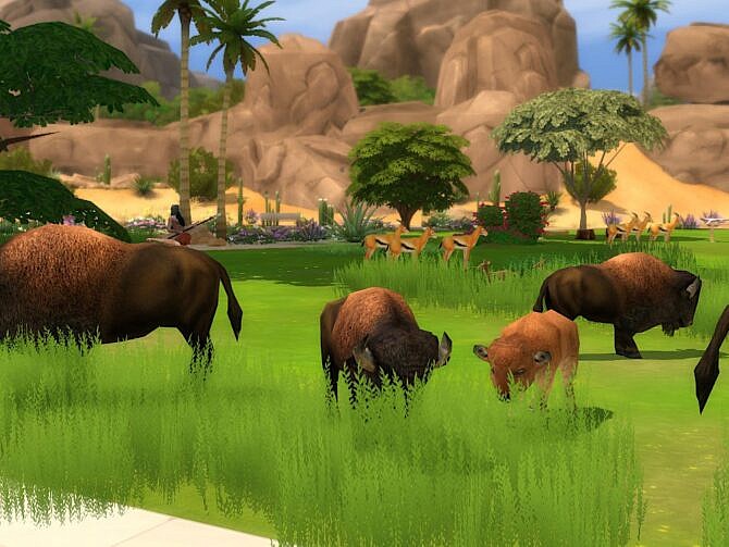 Sims 4 The Savannah and Little Pond at KyriaT’s Sims 4 World