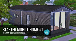 Starter Mobile Home #1