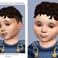 Alvin Hairstyle Toddler By Merci