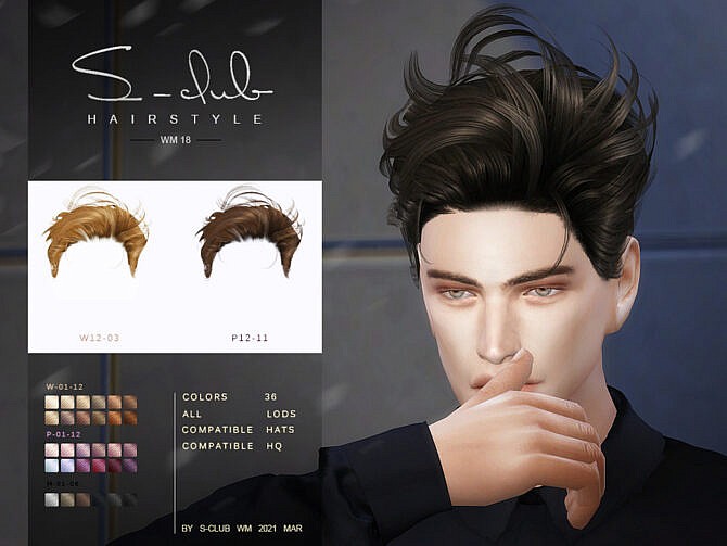 Sims 4 Hair 202118 by S Club WM at TSR