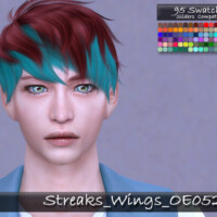 Streaks Wings Oe0520 Hair By Tatygagg